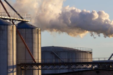 İki büyük silo karmaşık endüstriyel boruların yanında yükseliyor, fabrika buharı ayrıntılı bir şekilde tutuluyor, fırıl fırıl dönüyor ve havaya karışıyor. Fabrika parlak bir gökyüzüne karşı arka planda duruyor..