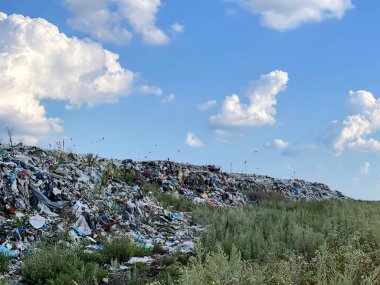 Mashiabne çöplüğü. Çöp öğütme konsepti