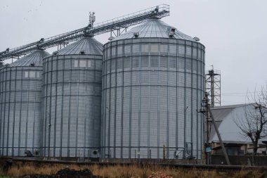 Gri gökyüzünün altındaki çiftliklerin yakınındaki tahıl ambarları için metal silolar kırsal endüstriyi vurguluyor.