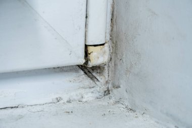 Plastik bir pencerede küf, beyaz bir tuvalde siyah mantar.