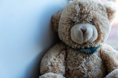 Turkuaz arka planda bir oyuncak ayının yakın çekimi