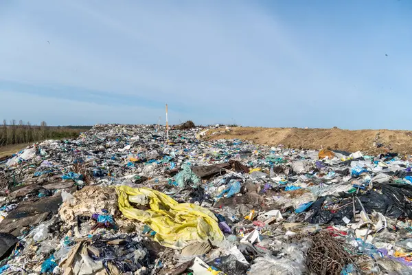Göz hizasında yakın plan çekimde çöplerle dolu bir arazi görünüyor. Sitede plastik, çöp ve kontrol edilmesi gereken diğer atıklar yer alıyor..