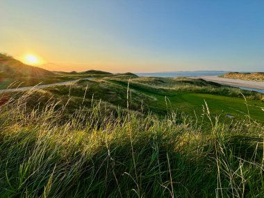 Gün sona ererken canlı güneş, arka planda güzel bir plaj bulunan yemyeşil bir tarlanın üzerinde zarifçe batıyor.