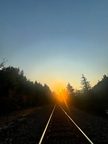 Sonbahar gündoğumu demiryolu rayları üzerinde