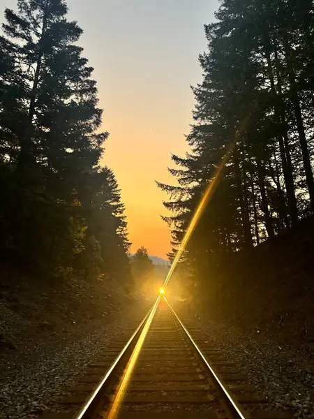 Sonbahar gündoğumu ve tren rayları üzerinde gelen tren.