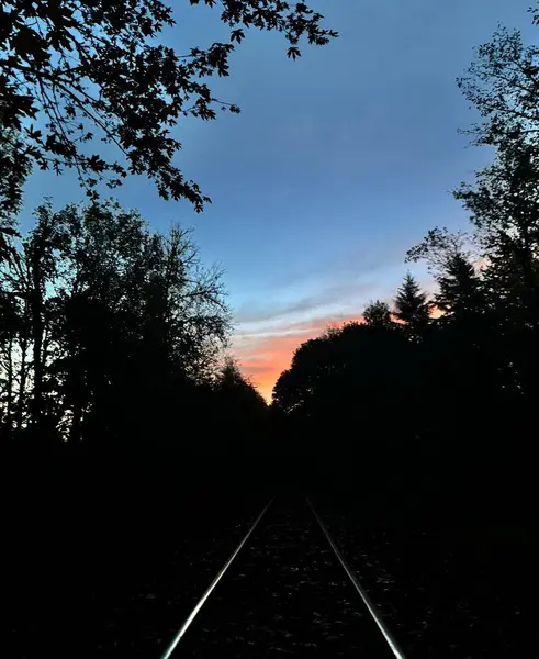 Sonbahar gündoğumu demiryolu rayları üzerinde