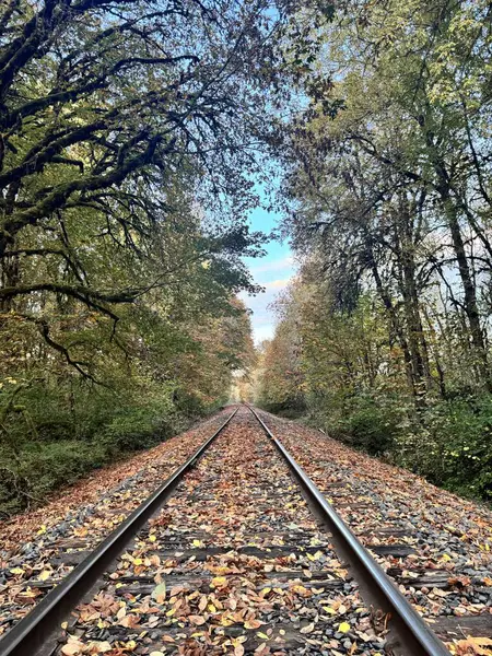 Sonbahar gündoğumu demiryolu rayları üzerinde