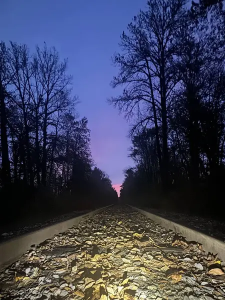 PNW 'de tren rayları ve gündoğumu. Güzel Sonbahar Gündoğumu