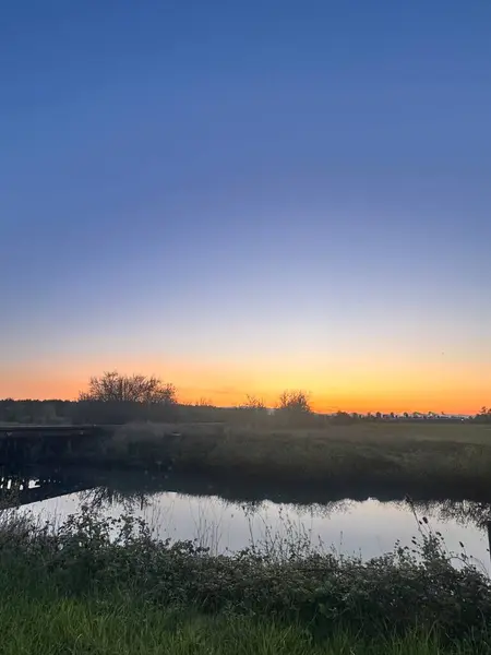 Kuzeybatı Pasifik 'te Güzel Gün Doğumu 