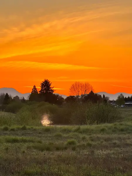 Kuzeybatı Pasifik 'te güzel ve canlı bir gün doğumu..