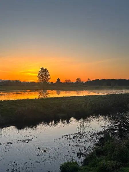 Kuzeybatı Pasifik 'te güzel ve canlı bir gün doğumu..