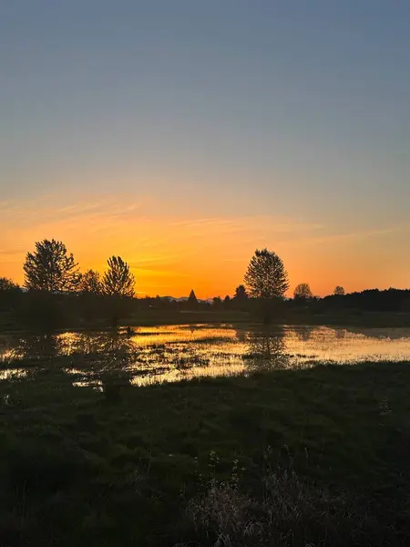 Kuzeybatı Pasifik 'te güzel ve canlı bir gün doğumu..