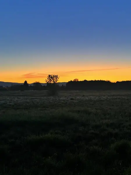Kuzeybatı Pasifik 'te güzel ve canlı bir gün doğumu..
