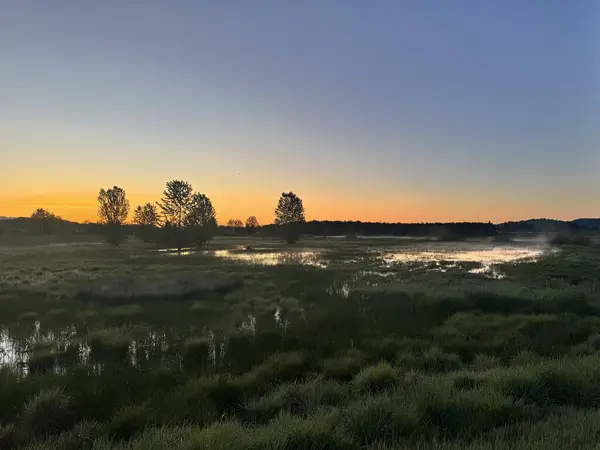 Kuzeybatı Pasifik 'te güzel ve canlı bir gün doğumu..