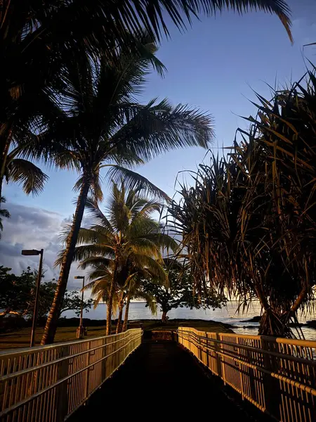Güzel tropikal gün doğumu denizin üzerinde