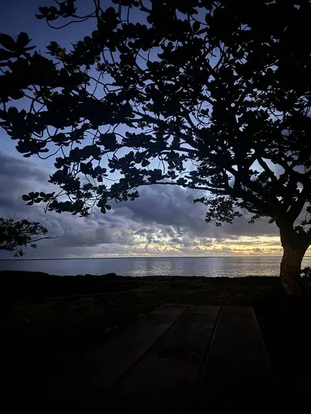 Güzel tropikal gün doğumu denizin üzerinde