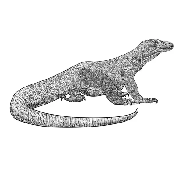 Aslan başlı siyah beyaz bir logo.