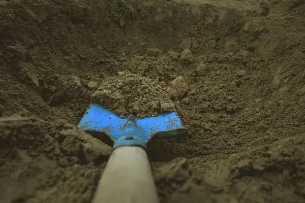 Blue Shovel in the ground for Construction or Gardening