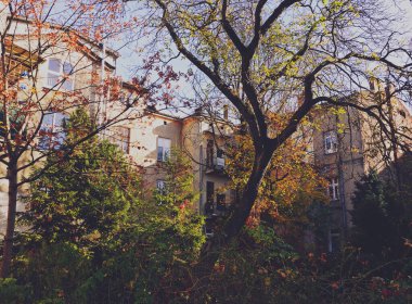 Renkli Ağaçlar ve Tarihi Binalarla Şehir Avlusunda Sonbahar Sahnesi