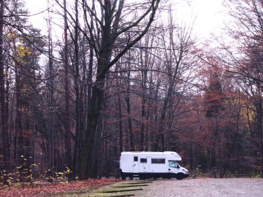 Güz ağaçlarıyla çevrili sakin bir ormanda park etmiş beyaz bir karavan. Dalları çıplak ve birkaç dağınık sarı yaprak mevsimin yalnızlığını yakalıyor.