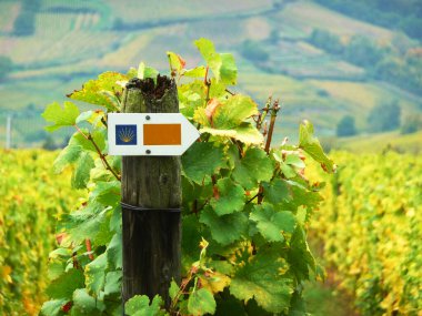 St James Indication in a Vineyard in Alsace clipart