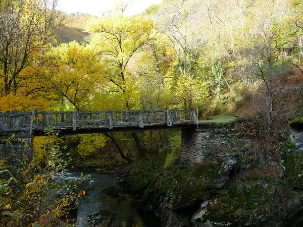Parlak sarı ve turuncu yapraklarla çevrili bir sonbahar boyunca ormandaki bir nehri aşan manzaralı ahşap köprü.