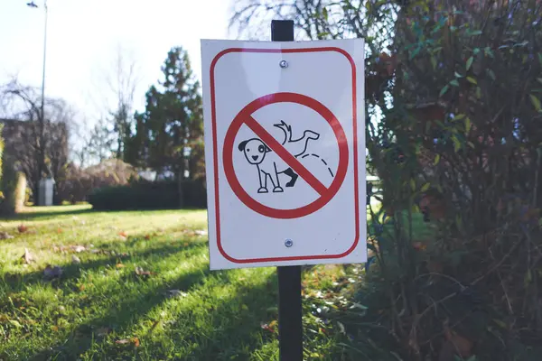 Yeşil çimenler, ağaçlar ve sakin bir doğa manzarası olan bir parkta sergilenen köpek kakasını yasaklayan bir tabela..