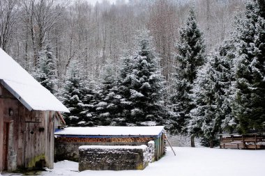 Kırsal bir ahır, yemyeşil ağaçlar ve huzurlu bir kış ormanı içeren karla kaplı kırsal bir alanın manzarası..