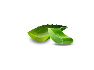 Aloe vera or aloe plant and leaves on white background clipart