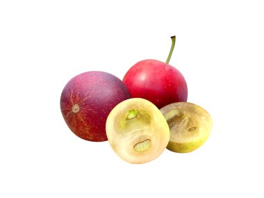 camu camu or Myrciaria dubia fruits on white background clipart