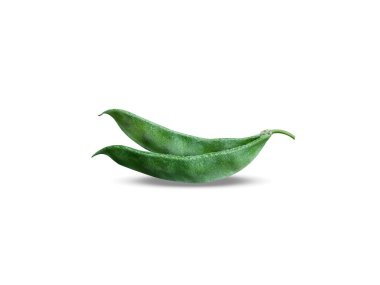 Beyaz arka planda Dolichos ya da Dlouhatec bulundu