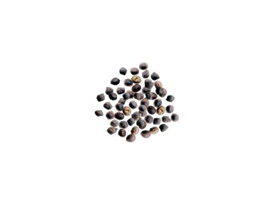 İzole edilmiş beyaz arka planda Mimosa pudica veya hassas bitki tohumları