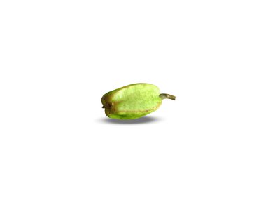 Barringtonia acutangula or hijjal green fruits on isolated white background clipart