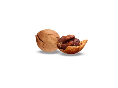 hickory nut or Carya fruits on isolated white background clipart