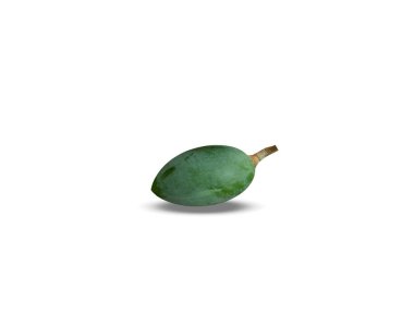 Canarium indicum or galip nut green fruits isolated on white background clipart