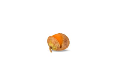 Schleichera or Schleichera oleosa fruits isolated on white background clipart