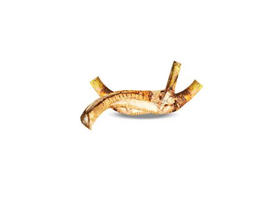 Beyaz arkaplanda izole edilmiş althaea officinalis veya marsh mallow kökü