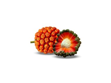 Pandanus tectorius or hala fruits isolated on white background clipart