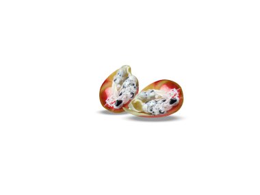 Beyaz arka planda izole edilmiş Cheilocostus Specosus veya Crepe zencefil tohumu