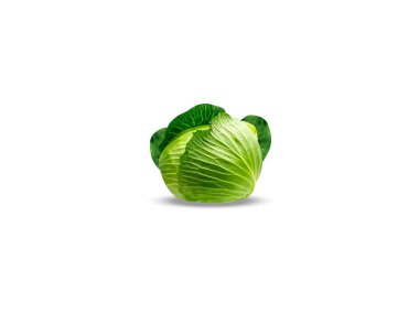 Beyaz arka planda Brassica oleracea ya da lahana yaprakları izole