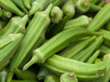 Okra or Abelmoschus esculentus fruits clipart