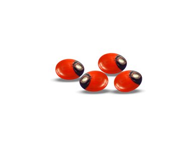 Abrus precatorius ya da kuru bezelye tohumu beyaz arka planda izole edilmiş.