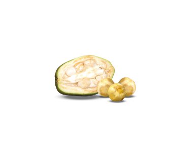 Beyaz arka planda izole edilmiş tohumlu Pachira aquatica veya Malabar kestane meyvesi