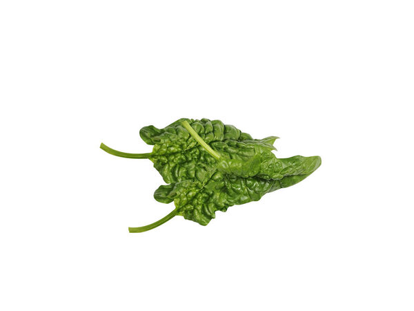 Spinacia oleracea or Spinach fresh green leaves isolated on white background