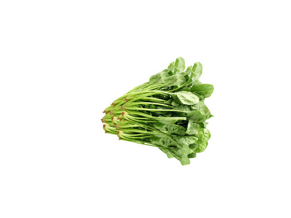 Spinacia oleracea or Spinach fresh green leaves isolated on white background