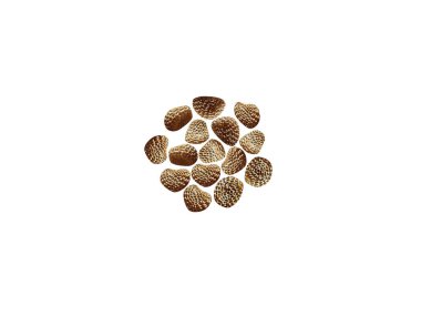 Hyoscyamus or henbanes plant dried seeds isolated on white background clipart