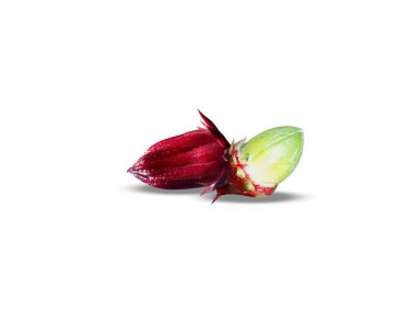 Hibiscus sabdariffa or Roselle fresh fruits isolated on white background clipart