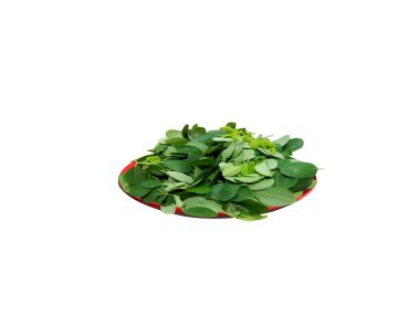 Moringa ya da Moringa oleifera yaprakları beyaz arka planda izole edilmiş