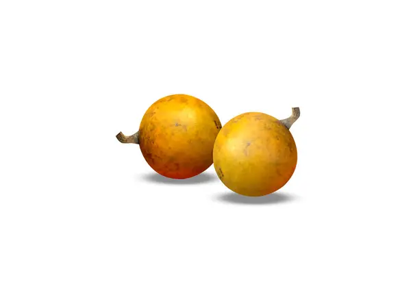 Strychnos nux vomica veya striknin ağacı beyaz arka planda izole edilmiş taze olgun meyveler.