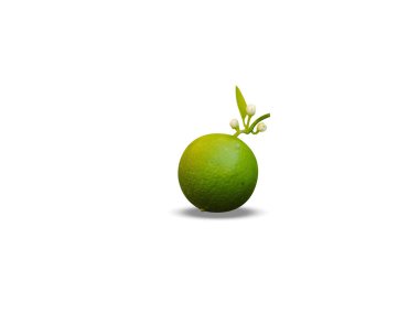 Beyaz arka planda izole edilmiş limon meyveleri.